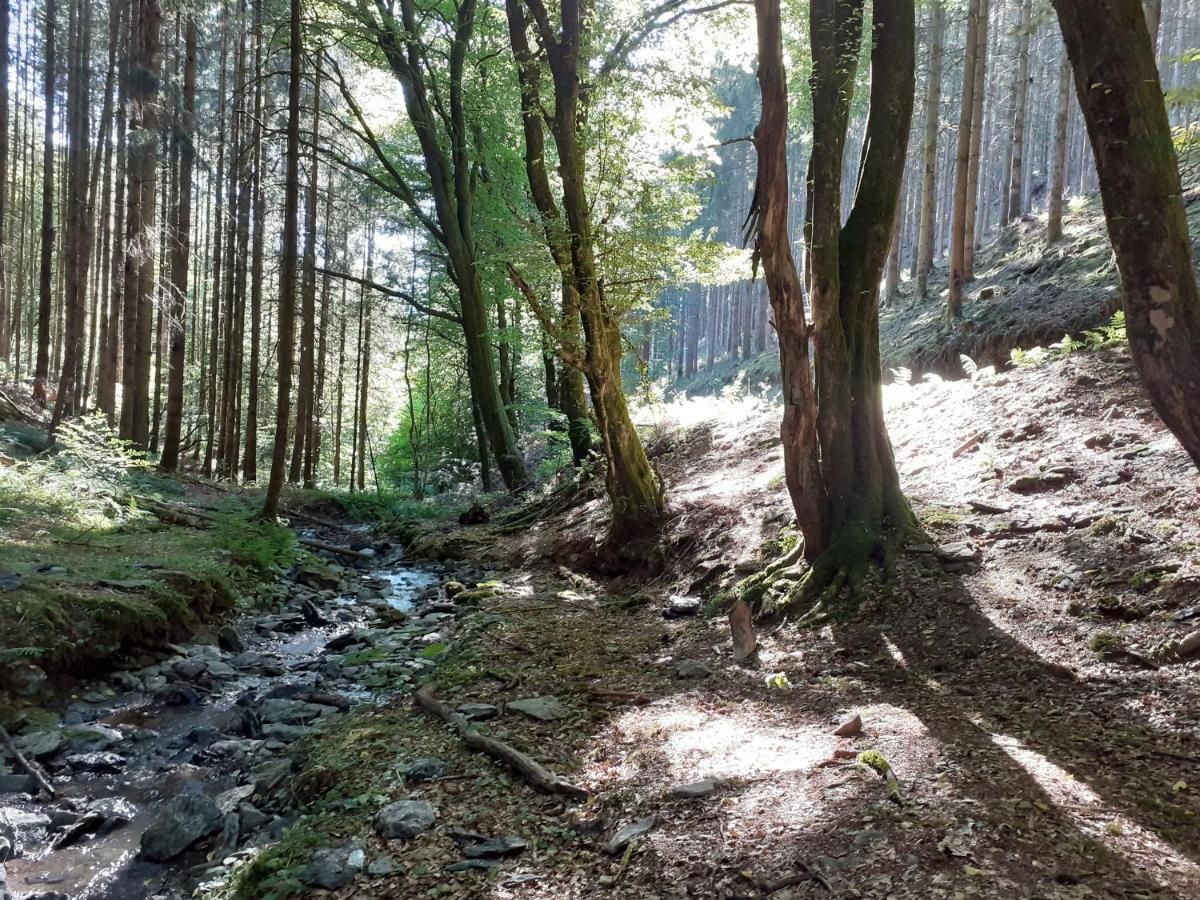 Hotel Le Refuge D'Engreux Houffalize Zewnętrze zdjęcie